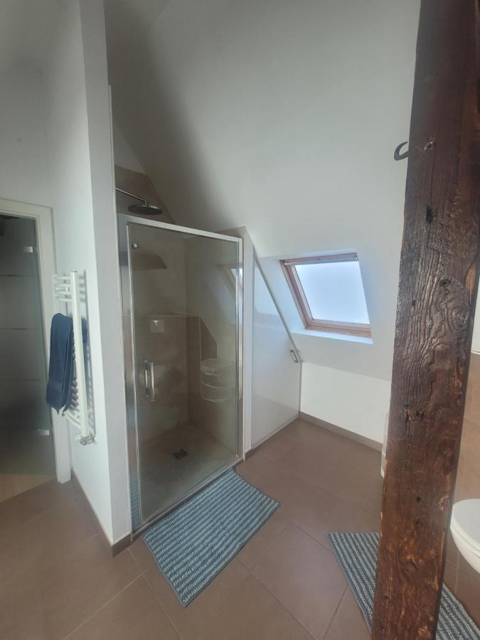 Studio 50M2 Au Bord De L'Eau A שטרסבורג מראה חיצוני תמונה