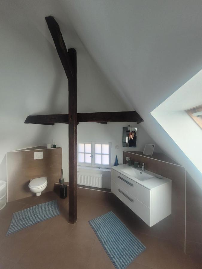 Studio 50M2 Au Bord De L'Eau A שטרסבורג מראה חיצוני תמונה